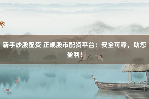 新手炒股配资 正规股市配资平台：安全可靠，助您盈利！