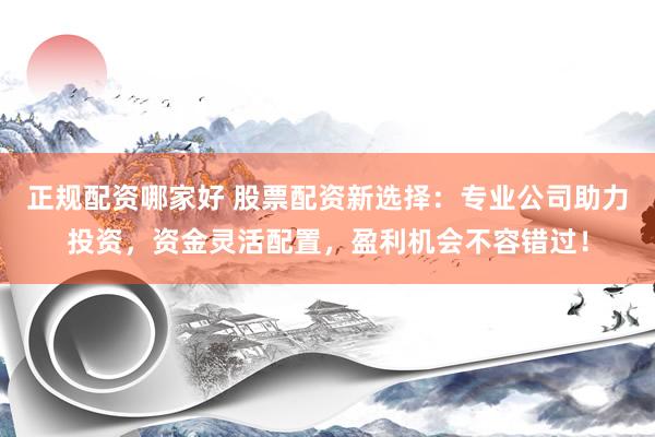 正规配资哪家好 股票配资新选择：专业公司助力投资，资金灵活配置，盈利机会不容错过！