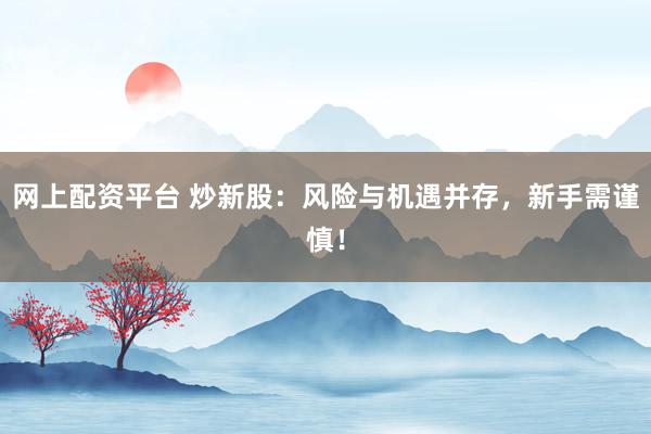 网上配资平台 炒新股：风险与机遇并存，新手需谨慎！