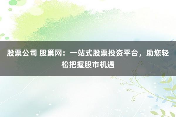 股票公司 股巢网:一站式股票投资平台,助您轻松把握股市机遇