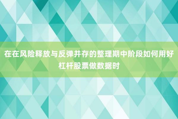 在在风险释放与反弹并存的整理期中阶段如何用好杠杆股票做数据时